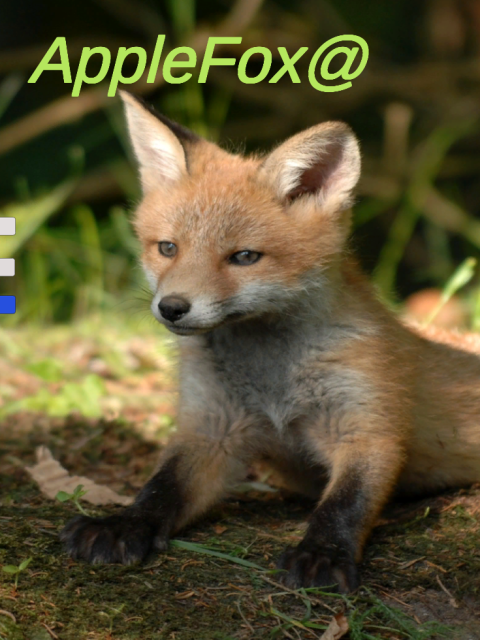 game image